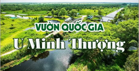 Vườn quốc gia U Minh Thượng: Khám phá khu rừng độc đáo