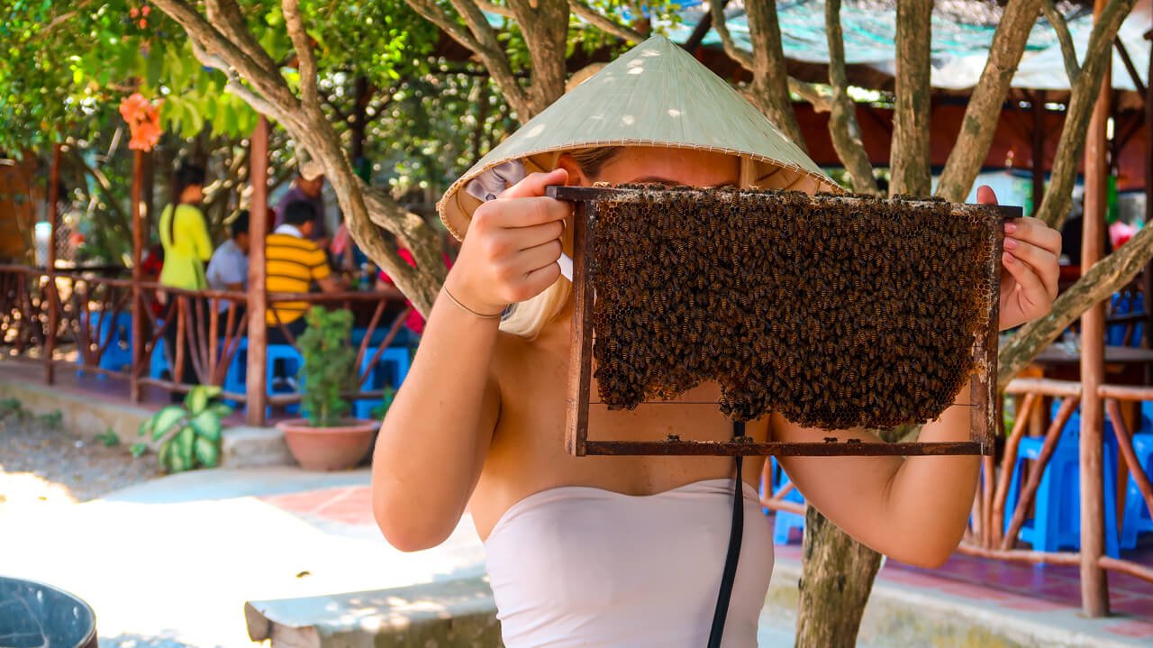 Thăm làng nghề nuôi ong tại Thới Sơn